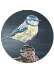 Pimpelmees acryl op houten paneel 39cm €185,-