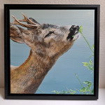 Ree acryl 30x30cm in zwarte baklijst € 375,-