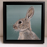 Konijn acryl op canvas 20/20cm in zwarte baklijst €150,-