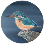 Ijsvogel paneel 38cm  verkocht