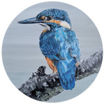 IJsvogel paneel 38cm verkocht