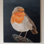 Roodborst  verkocht