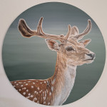 Hert acryl op canvas diameter 80cm  € 750,-