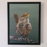 Winterkoninkje acryl op canvas 30/40cm zwarte lijst € 450,-