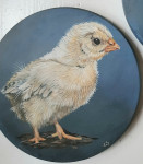 verkocht