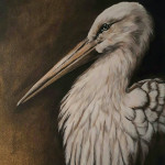 Ooievaar, acryl op canvas 40/50 cm  baklijst zwart € 250,-