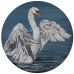 zwaan acryl op houten paneel 38 cm € 165,-