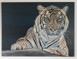 Tijger, acryl op canvas 80/60 cm  € 450,-